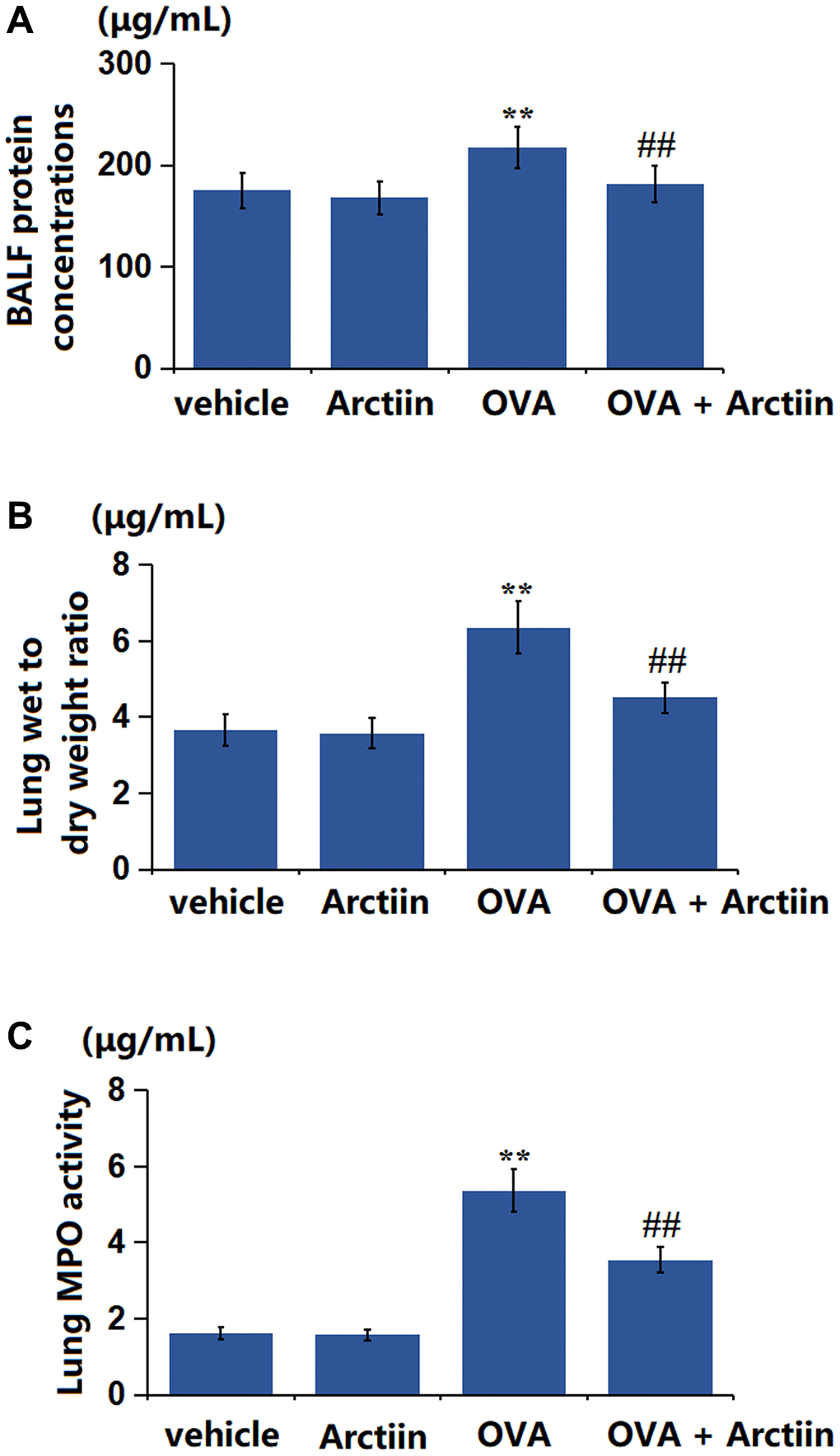 Arctiin ameliorated OVA-induced lung tissue impairment. C57BL/6 mice were divided into four groups: vehicle, Arctiin, OVA, and OVA+ Arctiin. (A) BALF protein concentrations; (B) Lung wet to dry weight ratio; (C) Lung MPO activity (n = 12, **P ##P 
