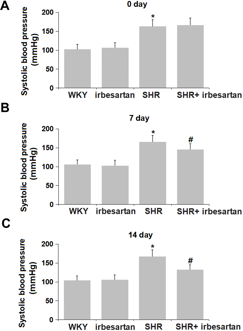 Irbesartan repressed the hypertension in SHR rats. (A) The systolic blood pressure on Day 0 post-dosing. (B) The systolic blood pressure on Day 7 post-dosing. (C) The systolic blood pressure on Day 14 post-dosing (n=6, *, P