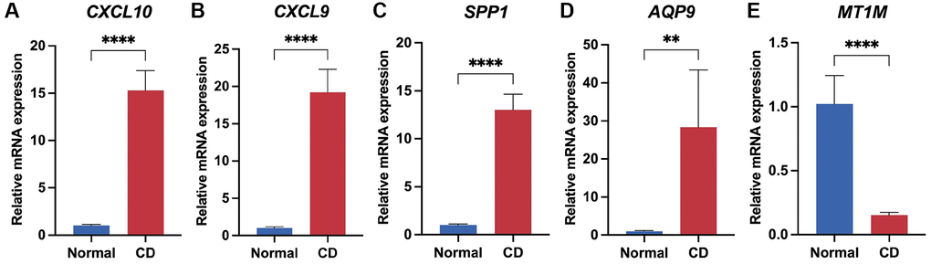Validation of biomarker panel expression in CD lesions and normal tissues by q-PCR. Differential comparison of mRNA expression levels of CXCL10 (A), CXCL9 (B), SPP1 (C), AQP9 (D), and MT1M (E) in CD and normal tissues. **P ****P 